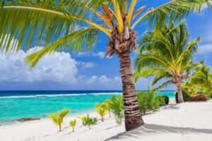 Palmiers surplombant la plage tropicale de Roratonga, Îles Cook