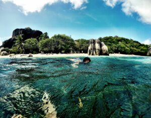 Plongée avec tuba à Anse Source d'Argent, Seychelles