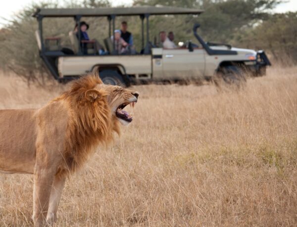Safari africain - Botswana