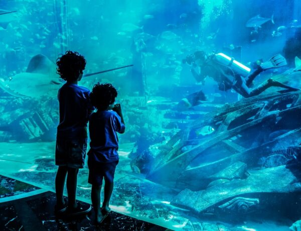 Dubai. Été 2016. Deux garçons regardant un grand aquarium à l'hôtel Atlantis Dubai