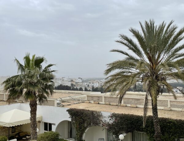 Vue panoramique de Tunis