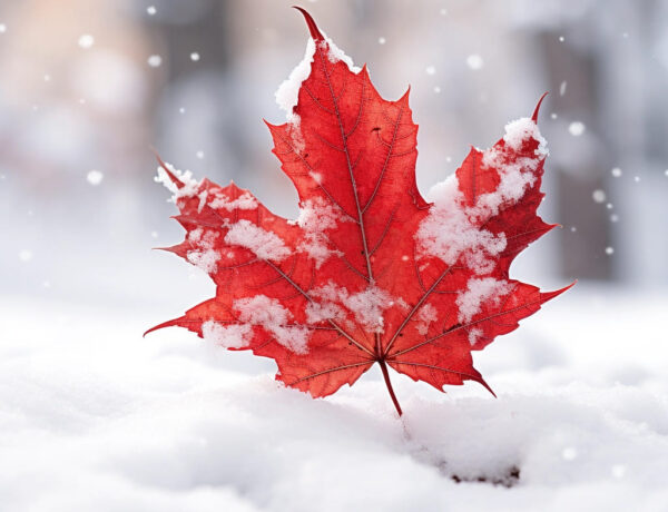 Ou fait il le plus chaud au canada en hiver ?