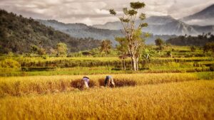 Bali is so beautiful!