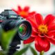 Objectif macro Nikon Z : guide complet et avis