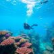 Plongée au Sri Lanka : guide Complet pour la Côte Est