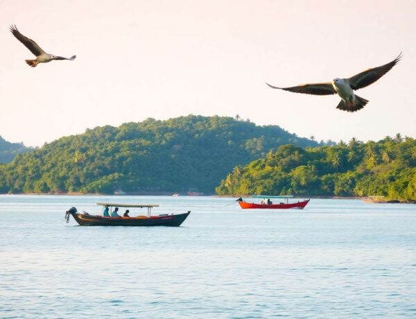 Îles de la péninsule de Jaffna : exploration au nord du Sri Lanka