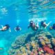 Snorkeling et découvertes à Trincomalee, côte Est du Sri Lanka