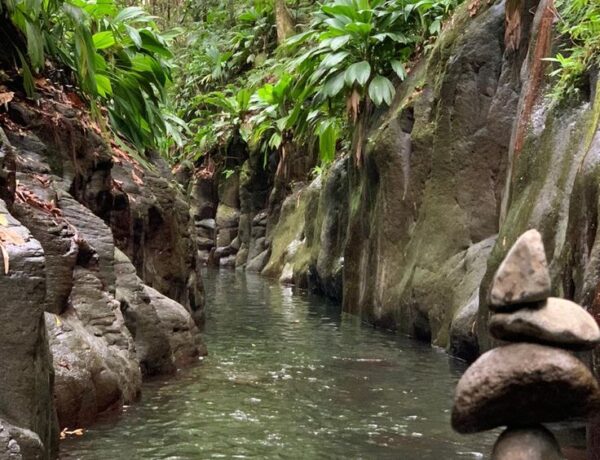 Découverte du Canyon de la Moustique en Guadeloupe