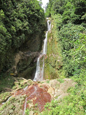 Chute du Galion en Guadeloupe : randonnée vers une cascade sauvage et préservée