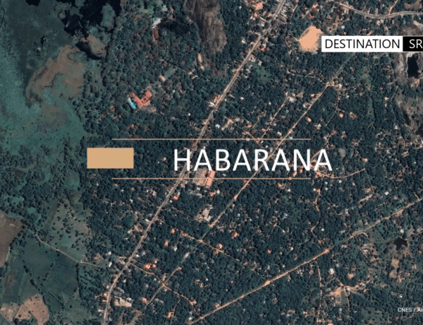 Habarana _ Sri Lanka