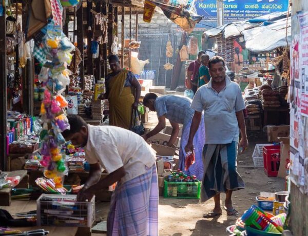 Découverte du Nord du Sri Lanka : culture et Paysages