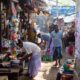 Découverte du Nord du Sri Lanka : culture et Paysages