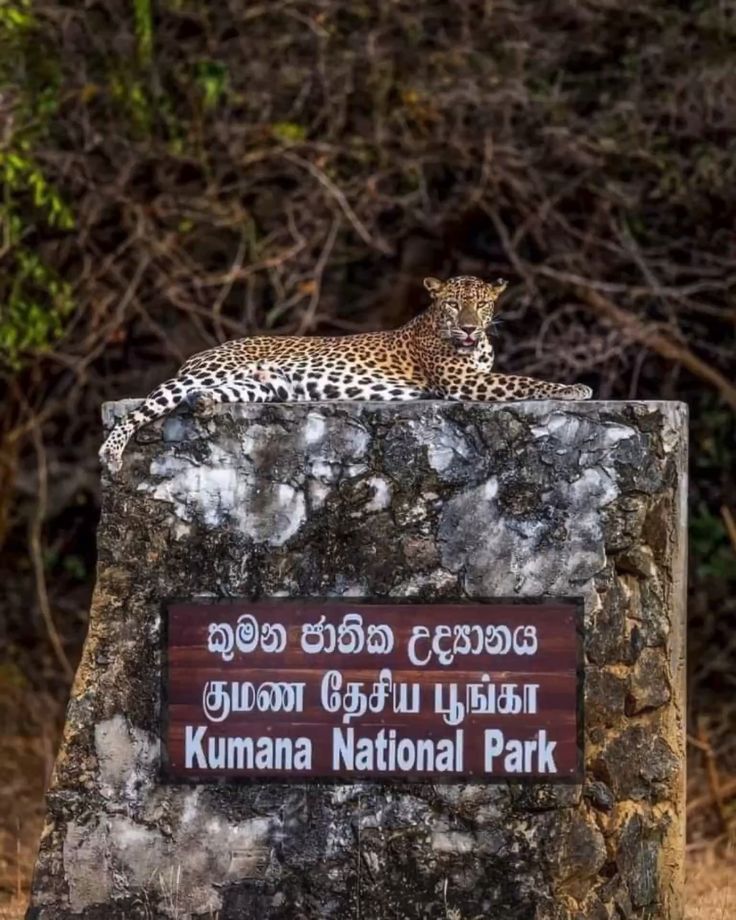 Kumana National park