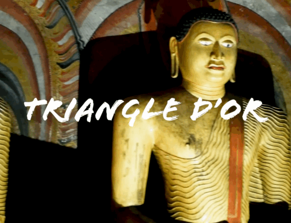 Découverte du Triangle Culturel au Sri Lanka