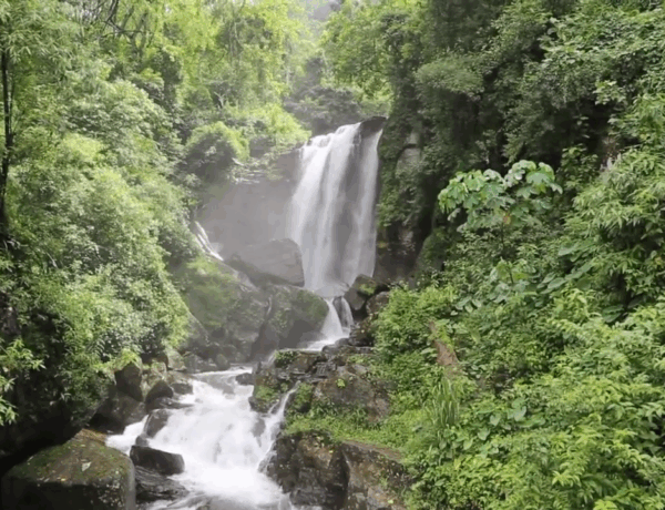Top 5 des cascades incontournables au Sri Lanka