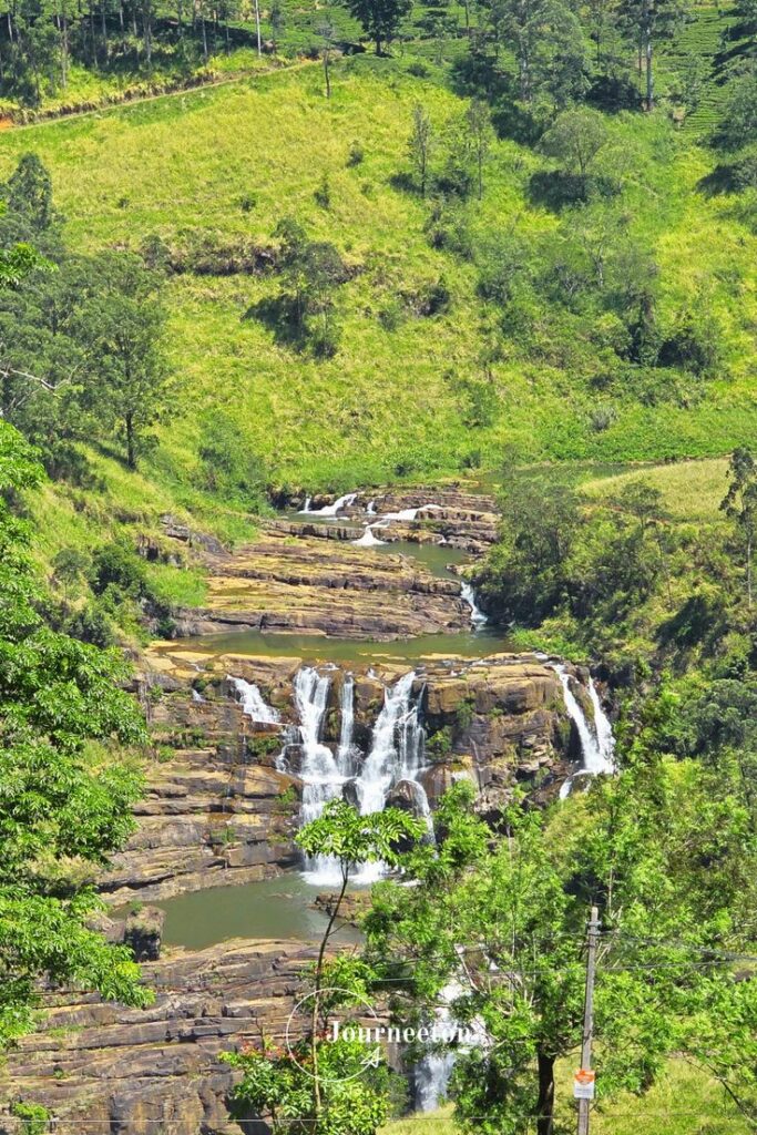 Les majestueuses St Clairs au Sri Lanka