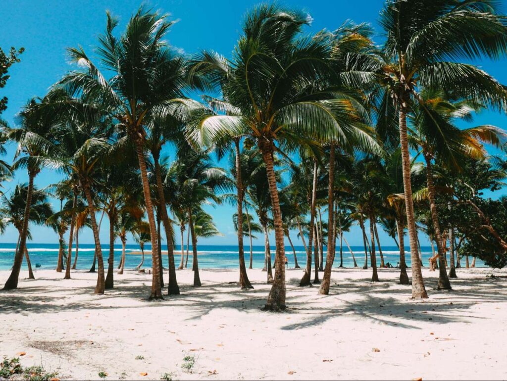 Visiter Grande Terre en Guadeloupe