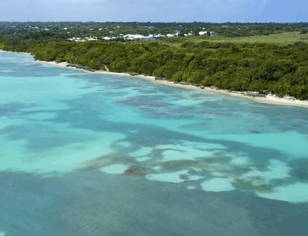 Voyage en Guadeloupe : itinéraire d'une semaine