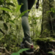 Explorer la forêt de Sinharaja au Sri Lanka