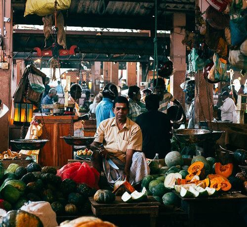 Voyage à Jaffna : découverte du Nord du Sri Lanka