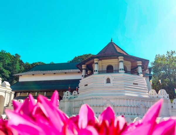 Visiter le temple de la Dent à Kandy : un incontournable du Sri Lanka