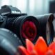 Meilleurs objectifs macro pour Nikon