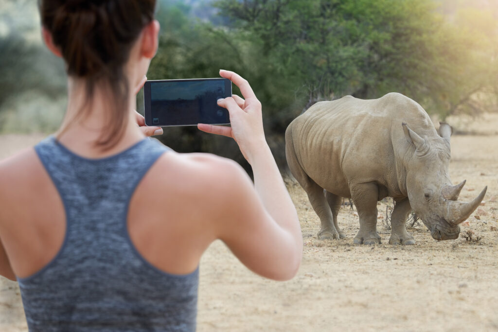Vue arrière d'une jeune femme non identifiable prenant une photo d'un rhinocéros dans la nature