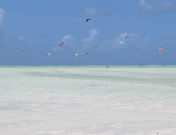 Quand partir à Zanzibar : meilleures périodes pour voyager