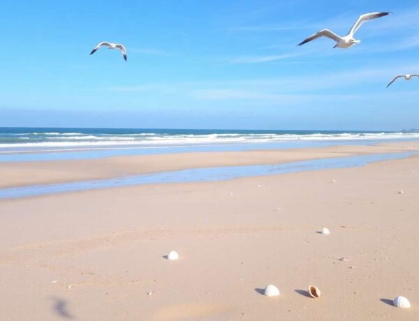 Les plus belles plages à découvrir en Normandie
